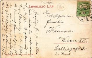 1908 Komárom, Komárno; Jobb parti teherállomás, vagonok, a háttérben több dunai vízi hajómalom / fre...