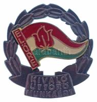 1970 k. "Kiváló Úttörő Munkáért" műgyantás jelvény T:AU