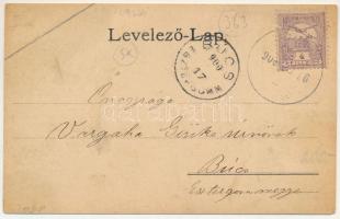 1900 Kolta, Koltha, Koltovjec; szélmalom, utcaképek / windmill, street views. Art Nouveau, floral (E...