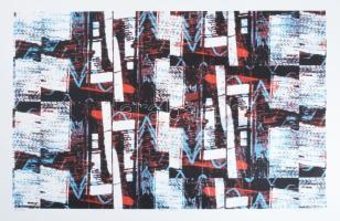 Haász Ágnes (1951-): Színváltó, 2016. Szitanyomat, papír. Jelzett. Számozott (15/20). Hátoldalán címkén feliratozott. 44x64 cm.