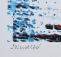 Haász Ágnes (1951-): Színváltó, 2016. Szitanyomat, papír. Jelzett. Számozott (15/20). Hátoldalán cím...