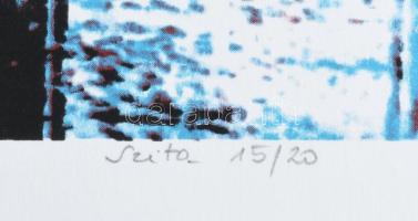 Haász Ágnes (1951-): Színváltó, 2016. Szitanyomat, papír. Jelzett. Számozott (15/20). Hátoldalán cím...