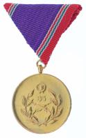1983. "Honvédelmi Érdemérem 35 év után" aranyozott bronz kitüntetés mellszalagon T:AU,XF h...