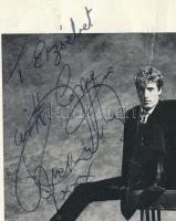 Roger Daltrey (1944-) angol énekes, zenész, színész, dalszerző, a The Who rockegyüttes egyik alapító...