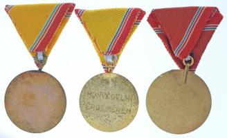 1965. "Szolgálati Érdemérem - A Haza Fegyveres Szolgálatában" 10 és 15 év után műgyantás b...