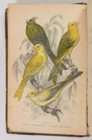 ( Kalitka és kamramadarak) Bechstein, Johann Matthäus, Cage and chamber-birds; their natural history...