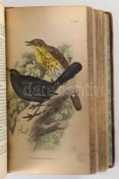 ( Kalitka és kamramadarak) Bechstein, Johann Matthäus, Cage and chamber-birds; their natural history...