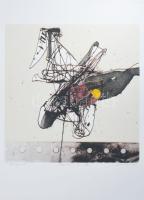 Damó István (1951-): Ragadozó I, 2023. Szitanyomat, papír, jelzett. 15/16 számozással. 48×46 cm