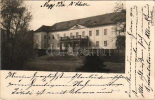 1904 Nagyida, Velká Ida; Báró Schell Gyula kastélya / castle. photo