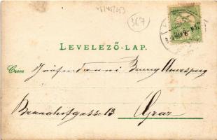 1904 Nagyida, Velká Ida; Báró Schell Gyula kastélya / castle. photo