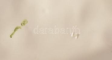 Hertwig-Katzhütte vadászkutya pár, jelzett, hibátlan, 33x19 cm