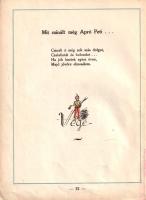 Dávid László: 
Igazságos Apró Peti huncutságai. Gyerekeknek írta: Dávid László. A képeket rajzolta:...