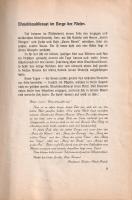 Schützenhofer, Friedrich: 
Waudibaudibauxi. Seine Reise ins Land des Professors Doktor Fitzli-Putzl...