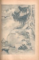 Schützenhofer, Friedrich: 
Waudibaudibauxi. Seine Reise ins Land des Professors Doktor Fitzli-Putzl...