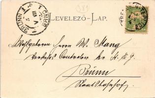 1901 Vágsziklás, Szkalka, Szkalka-Benedek, Skalka nad Váhom; Apátsági romok a Vágvölgyben. Gansel Li...