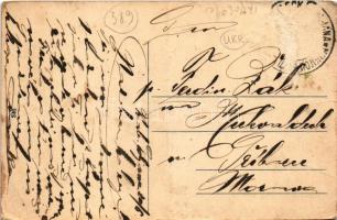 Gyertyánliget, Polyana-Gyertyánliget, Kabola Polyána, Kobyletska Poliana (Máramaros, Maramures); lát...