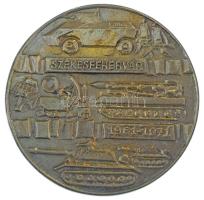 1971. "Székesfehérvár 1961-1971" egyoldalas, öntött bronz emlékérem az 5. Hadsereg-parancsnokság felállításának 10. évfordulójára eredeti dísztokban (108mm) T:AU