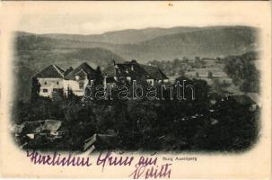 Turjak (Velike Lasce), Burg Auersperg / castle (fl)