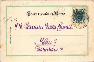 Turjak (Velike Lasce), Burg Auersperg / castle (fl)