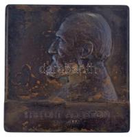 Berán Lajos (1882-1943) 1904. "Trefort Ágoston 1817-1888 / Alapítójának és első elnökének - A M...