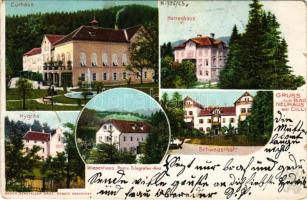 1901 Terme Dobrna, Bad Neuhaus bei Cilli (Celje); Curhaus, Herrenhaus, Hygiea, Wiesenhaus, Post- u. ...