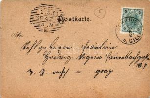 1901 Terme Dobrna, Bad Neuhaus bei Cilli (Celje); Curhaus, Herrenhaus, Hygiea, Wiesenhaus, Post- u. ...