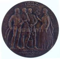 Berán Lajos (1882-1943) 1933. "TESZ (Társadalmi Egyesületek Szövetsége) - Nemzeti Munkahét" kétoldalas, bronz emlékérem (60mm) T:AU patina TP 232.