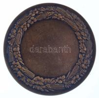 Berán Lajos (1882-1943) 1933. "TESZ (Társadalmi Egyesületek Szövetsége) - Nemzeti Munkahét&quot...