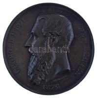 Belgium 1876. "Leopold II Roi des Belges 1876 / Exposition et Congres d'Hygiéne et de Sauv...