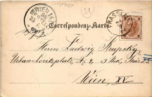 1898 Braslovce, Frasslau; Totale, Hauptstrasse, Schloss Ruhethal, Ruine Sanneck (Grad Zovnek) / gene...