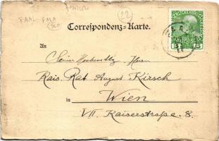 Fala pri Ruse, Faal; Schloss Faal / castle (tears)