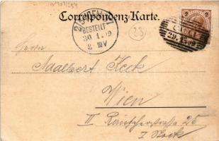 1899 Celje, Cilli; general view. Verlag Georg Adler (EK)