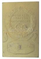 1929. "Kegyeleti Staféta 1929. március 15." aranyozott bronz sport díjplakett (40x60mm) T:...