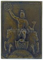 1935. "UTE (Újpesti Torna Egylet) 50 év" egyoldalas bronz sport emlékplakett, hátoldalán &...