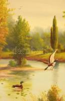 Olvashatatlan jelzéssel: Felröppenő vadkacsák. Olaj, vászon. Dekoratív, sérült fakeretben. 60x80 cm