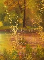 Olvashatatlan jelzéssel: Felröppenő vadkacsák. Olaj, vászon. Dekoratív, sérült fakeretben. 60x80 cm