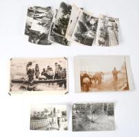 ca 1940-1960 Disznóvágás, állapot 15 db fotó