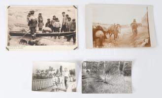 ca 1940-1960 Disznóvágás, állapot 15 db fotó