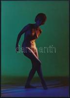 cca 1975 Németh József (1911-2006): Zöld akt, jelzetlen fotó, szép állapotban, 24×17 cm