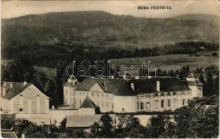 1909 Slovenska Bistrica, Windischfeistritz, Windisch-Feistritz; Burg Feistritz / castle (fl)