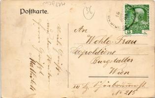 1909 Slovenska Bistrica, Windischfeistritz, Windisch-Feistritz; Burg Feistritz / castle (fl)