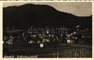 Slovenske Konjice, Gonobitz; general view
