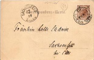 1897 Kamnik, Stein, Bad Stein in Krain; Villa Neptun. Stengel &amp; Co. (EK)