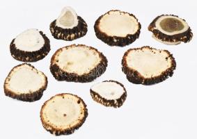 Zacskónyi vegyes méretű szarvasagancs rózsa