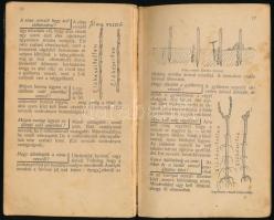 Vaday József: Vincellérkönyv. Szőlőmunkások és gazdák részére. Szemléltető rajzokkal. Nagyvárad, [19...