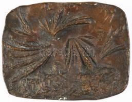 Borsos Miklós (1906-1990): Bronz plakett, jelzett, 11x14 cm