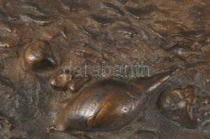 Borsos Miklós (1906-1990): Tengerpart. Bronz plakett, jelzett, 13x16 cm