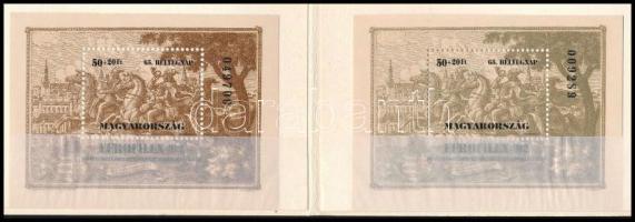 1992 Bélyegnap - Eurofilex normál + ajándék blokk tokban / Mi 221 normal + special block