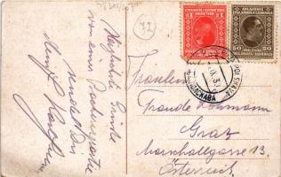 1930 Pohorje, Bachergebirge, Bachern; Vila Planinka pri Ruski koci / villa, tourist house (EK)