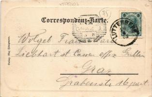 1903 Ljutomer, Luttenberg; general view (fl)